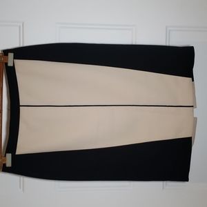 Ann Taylor Pencil Skirt